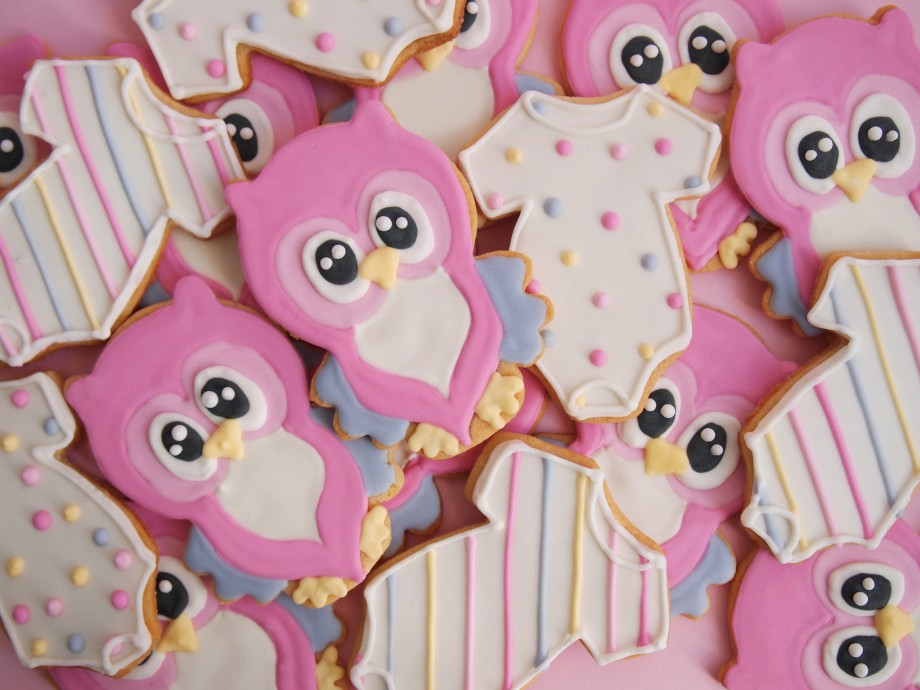Biscoitos Decorados Corujas 02-min