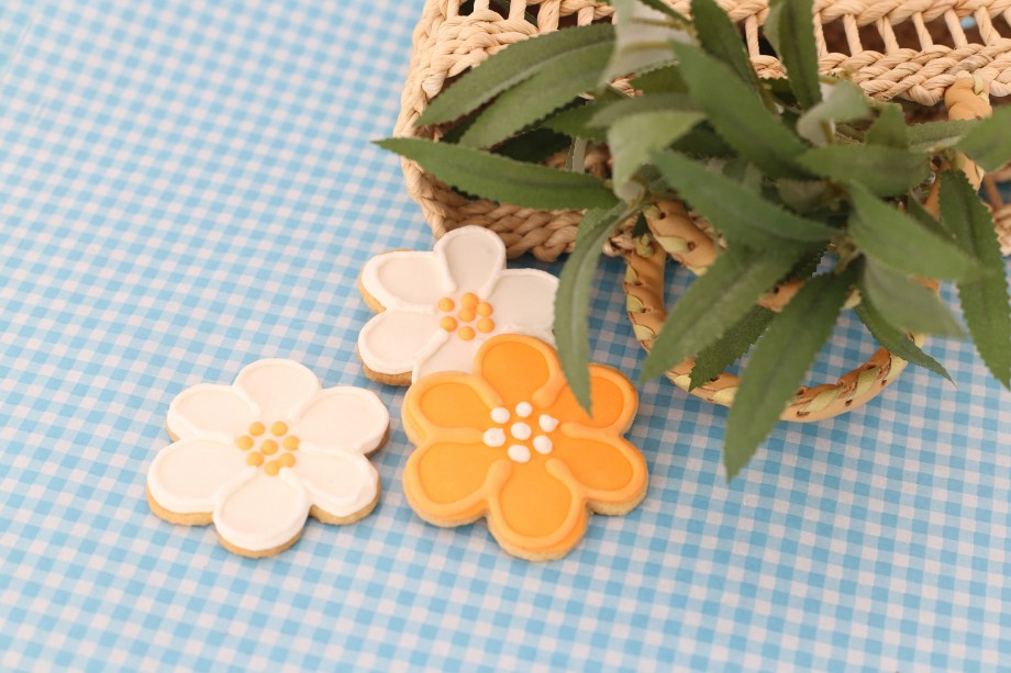 Biscoitos Decorados Passaros e Flores 03-min